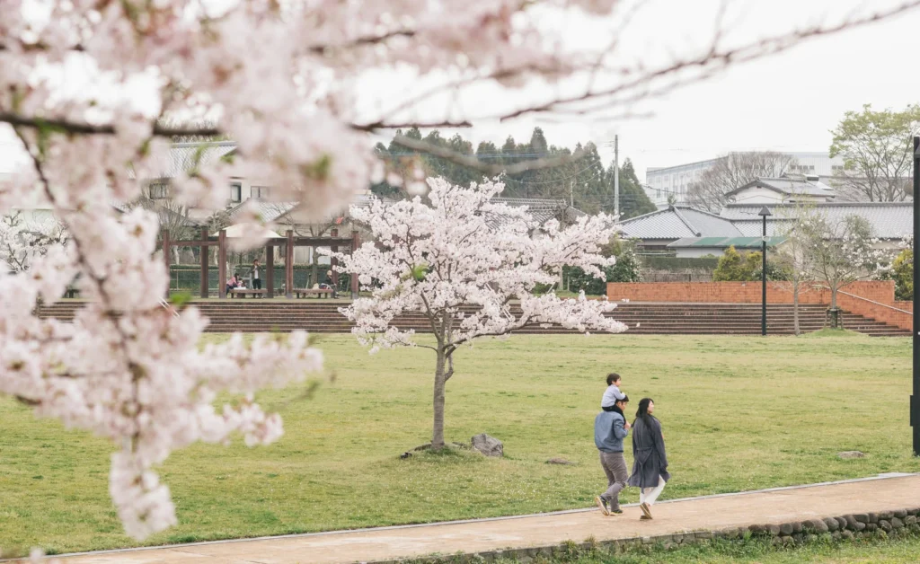 桜の季節に散歩する家族